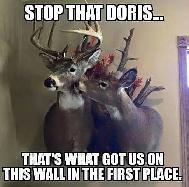 Non Restricted (PAL) – Joffre – April 11