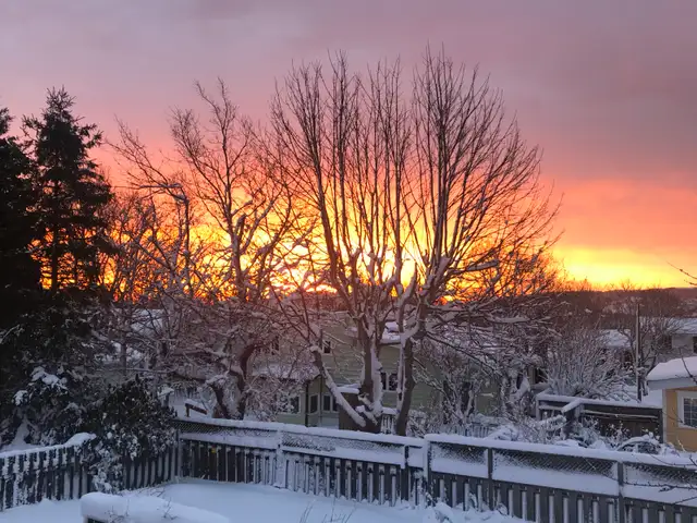 roommate executuve home - Photo 10