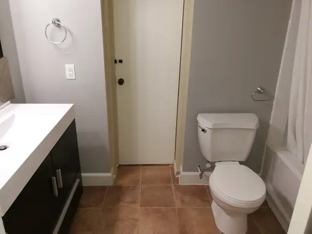 UWO Off-Campus 7 Bedrooms House for Rent - Photo 4