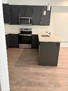 3 BR, 2.5 Bath- Townhouse- 51 Sparrow Ave, Cambridge - Photo 5