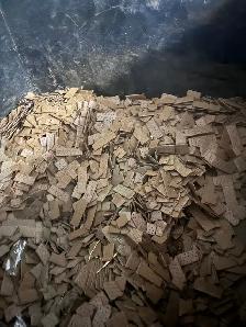 2026 bear bait - Photo 2