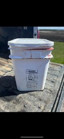 2026 bear bait - Photo 9