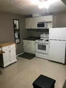 ONE BLOCK TO SASKPOLYTECH, ONE BEDROOM SUITES, 8 WEEK TENANCIES