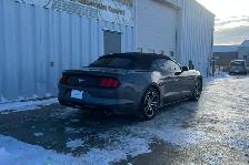 2017 Ford Mustang 2dr Conv EcoBoost Premium - Photo 5