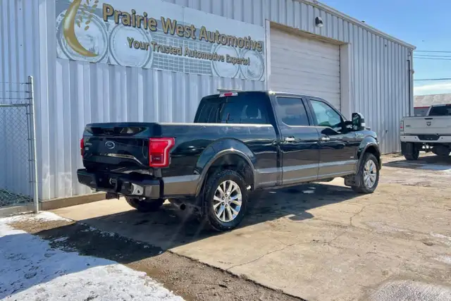 2015 Ford F-150 4WD SuperCrew 157' Platinum - Photo 5