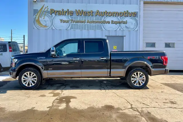 2015 Ford F-150 4WD SuperCrew 157' Platinum - Photo 8