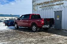 2019 Ford F-150 XL 4WD SuperCrew 5.5' Box - Photo 7