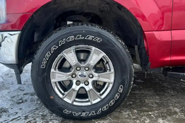 2019 Ford F-150 XL 4WD SuperCrew 5.5' Box - Photo 10