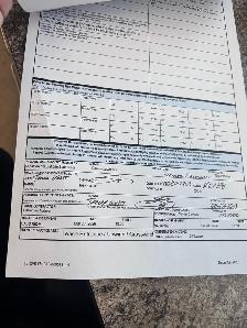 2026 bear bait - Photo 4