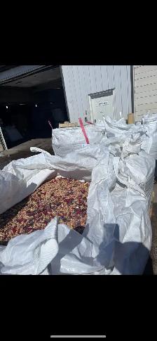 2026 bear bait - Photo 5