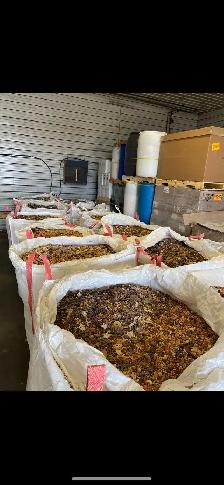 2026 bear bait - Photo 6