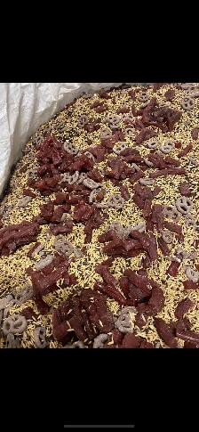 2026 bear bait - Photo 9