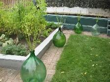 Unique Bottle Garden Decor - Photo 2