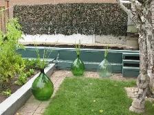 Unique Bottle Garden Decor - Photo 6