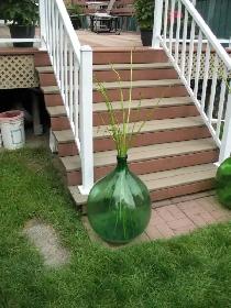 Unique Bottle Garden Decor - Photo 9