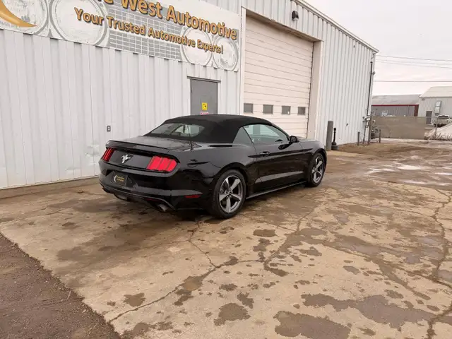 2017 Ford Mustang 2dr Conv V6 - Photo 5
