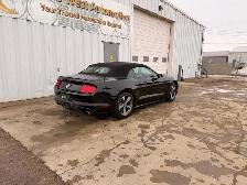 2017 Ford Mustang 2dr Conv V6 - Photo 5