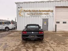 2017 Ford Mustang 2dr Conv V6 - Photo 6