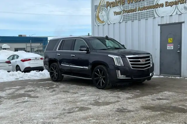 2015 Cadillac Escalade 4WD 4dr Luxury - Photo 3