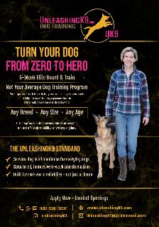 6 Week Board and Train - Spring Offer - Photo 2