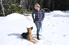 6 Week Board and Train - Spring Offer - Photo 4