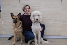 6 Week Board and Train - Spring Offer - Photo 5