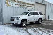 2018 Cadillac Escalade 4WD 4dr Premium Luxury - Photo 9
