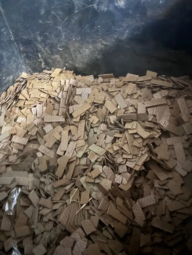 2026 bear bait - Photo 3