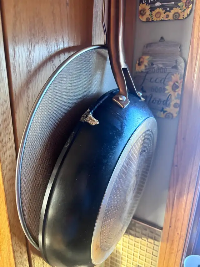 2026 bear bait - Photo 7