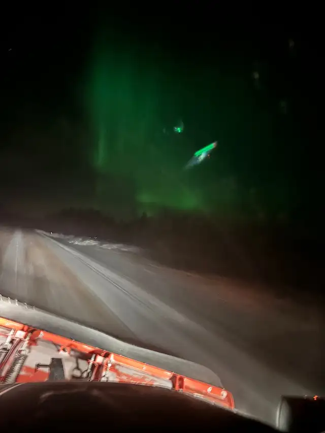 2026 bear bait - Photo 8