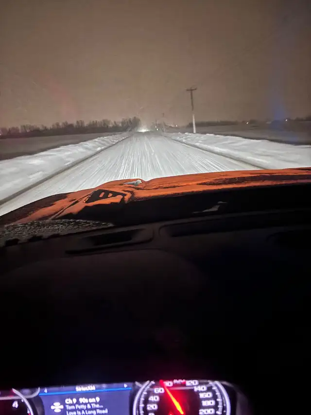 2026 bear bait - Photo 9