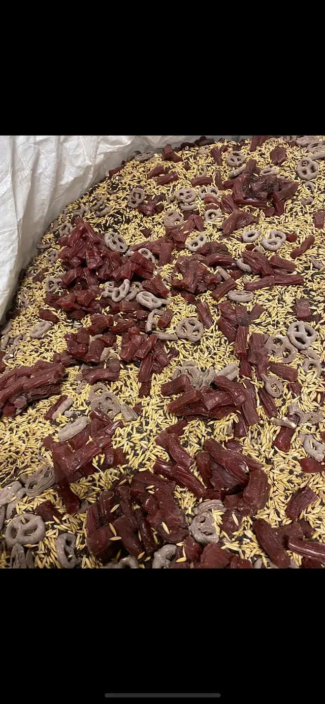 2026 bear bait - Photo 10