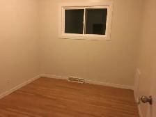available now c-train  university Mall close downtown one room - Photo 7