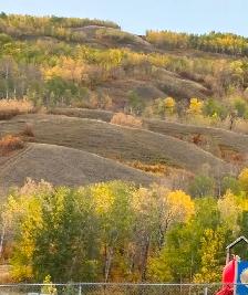 IN THE HEART OF NORTH END - Photo 17