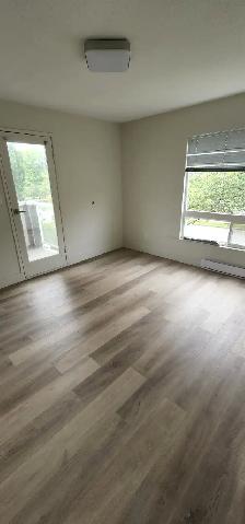 Beautiful Two Bedroom Available - Photo 4