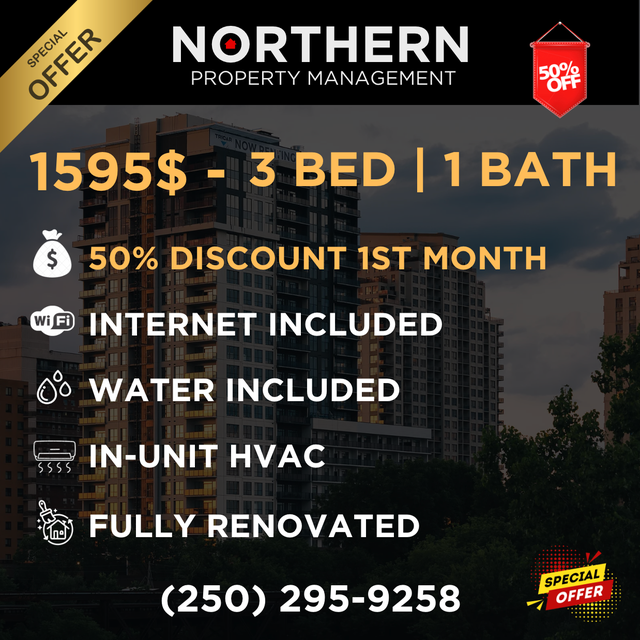 3 Bedroom Apartment - Fully Renovated