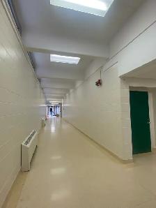 Painter & Decorator - Photo 8