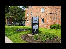 1 Bedroom Apartment for Rent - 95 Paisley Bvld West - Photo 2