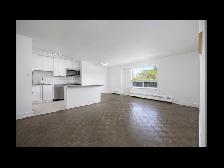 1 Bedroom Apartment for Rent - 95 Paisley Bvld West - Photo 11