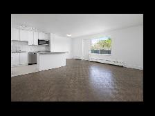 1 Bedroom Apartment for Rent - 95 Paisley Bvld West - Photo 15