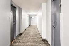 2 Bedroom Apartment for Rent - 65-85 Silver Springs Blvd - Photo 14