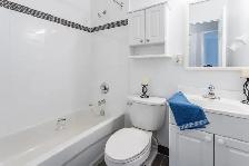 Clark Townhomes - Townhouse (4 bedroom) available at 804 Clark B - Photo 6