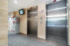 Fiddlers West Apartments - Bachelor available at 95 Fiddlers Gre - Photo 10