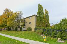 1123-1131 Royal York Road Apartments - 1 Bedroom available at 11 - Photo 8