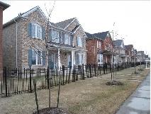 3 Bedrooms, full house for rent (16th Ave/Ninth Line) in Markham