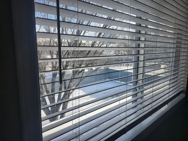 Large Room in Beautiful Central Townhouse, all utilities incl - Photo 2