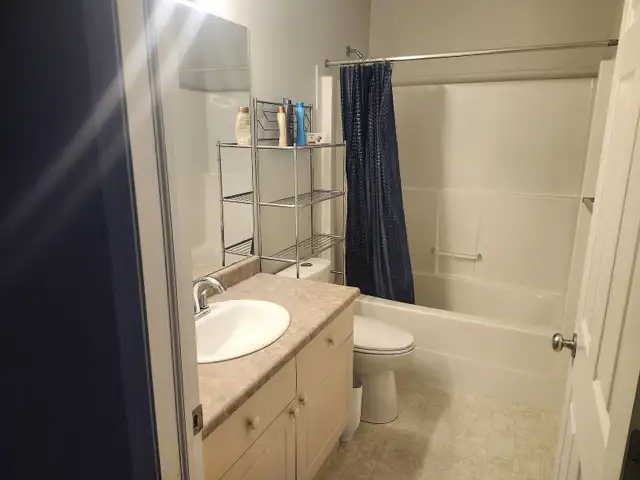 Large Room in Beautiful Central Townhouse, all utilities incl - Photo 8