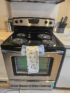 Suzys Diamond Shine Cleaning - Photo 2