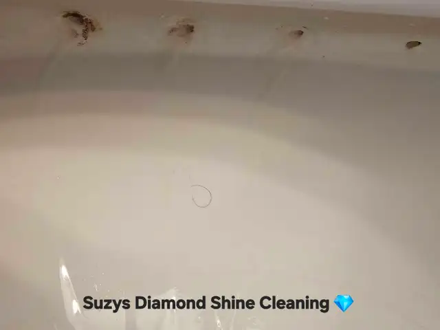 Suzys Diamond Shine Cleaning - Photo 3