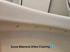 Suzys Diamond Shine Cleaning - Photo 4